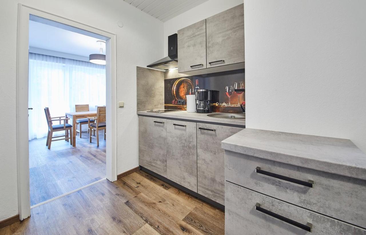 Appartements Haus Alexander ザールバッハ・ヒンターグレム エクステリア 写真